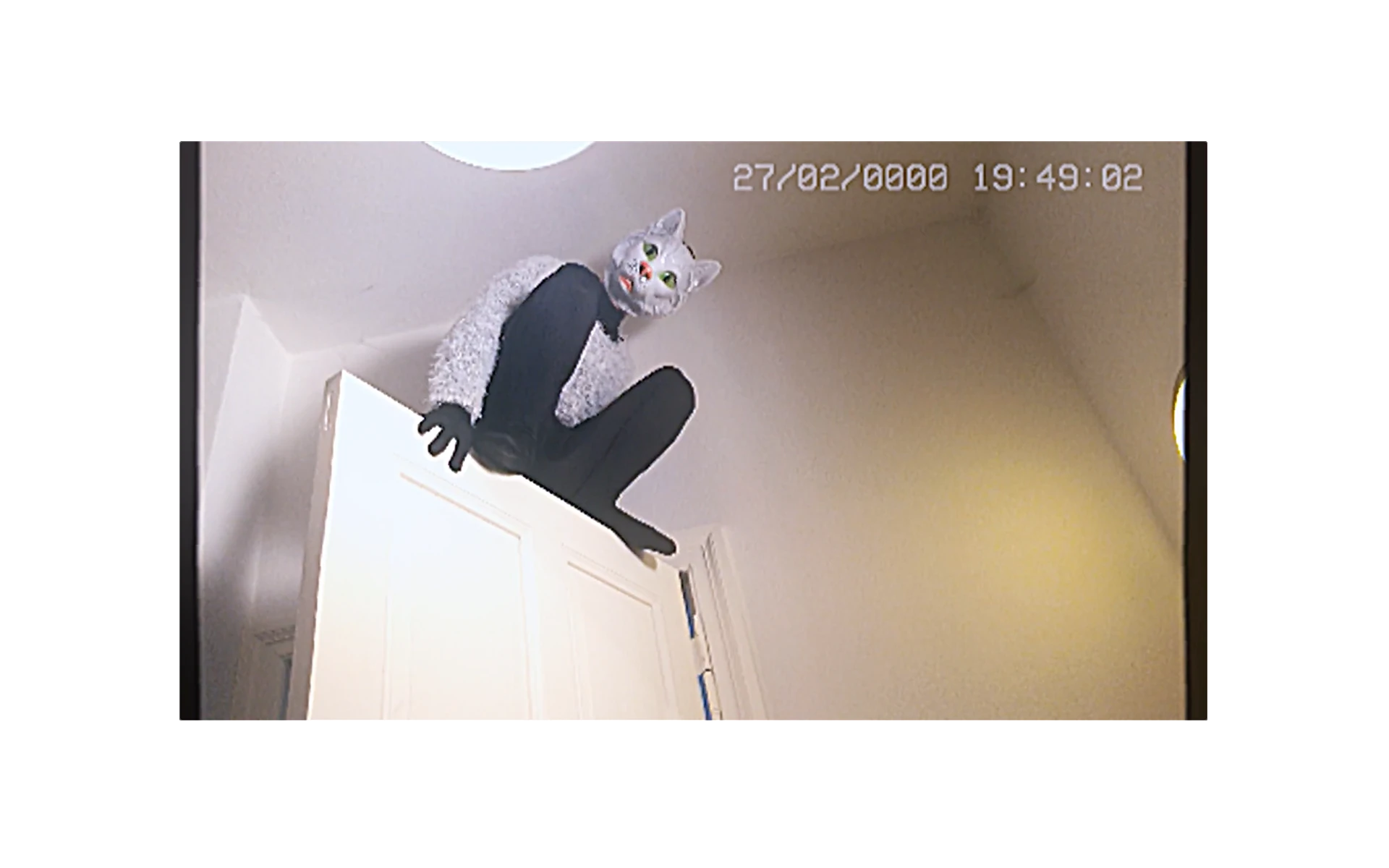 xzy - Volkswagen Financial Services - Viral